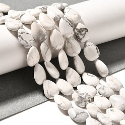 Говлит Природные Говлит бисер нитей, слеза, 13.5~14x10~10.5x5 мм, отверстие : 1 мм, около 27~28 шт / нитка, 37.3~38.3 см