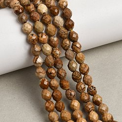 Пейзажный Джаспер Естественного изображения яшмы бисер нитей, граненые, рис, 6~6.5x5~6 мм, отверстие : 1.2 мм, около 58~62 шт / нитка, 14.57''~14.76'' (37~37.5 см)