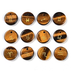 Тигровый глаз Природных тигровый глаз подвески, плоско-круглые, с рисунком созвездия, 12x3 мм, отверстие : 1.4 мм, 12 шт / комплект