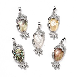 Разные Ракушки Экологически чистые подвески из латуни с покрытием из натуральной раковины, без кадмия и без свинца, попугай, платина, 38.5x16x7.5 мм, отверстие : 8 мм