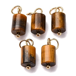 Тигровый глаз Подвески-колонны из натурального тигрового глаза с 304 соединительными кольцами из нержавеющей стали, золотые, 14x6 мм, отверстие : 4 мм