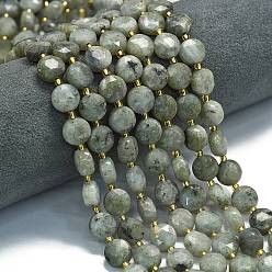 Лабрадорита Природные лабрадорита бисер нитей, граненый шестиугольный разрез, плоско-круглые, с бисером, 10~10.5x6 мм, отверстие : 1 мм, около 31~32 шт / нитка, 15.35''~15.55'' (39~39.5 см)