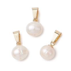 Золотой Картофельные прелести из натурального культивированного пресноводного жемчуга, с защелкой из нержавеющей стали на поручнях, цвет морской раковины, золотые, 12.5x9~10x8~9 мм, отверстие : 7x3.5 мм