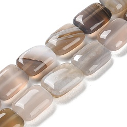 Grey Agate Natural Grey Agate Beads Strands, Rectangle, 14~15x10~11x5~5.5mm, Hole: 1~1.2mm, about 28pcs/strand, 16.02 inch(40.7cm)