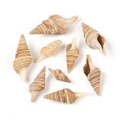 пшеница Естественно спиральные стеклянные бусы, неочищенные / без отверстий, цвет пшеницы, 20~55x8~20x7~19 мм, Около 285 шт / 500 г