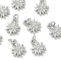 Real Platinum Plated SHEGRACE Brass Micro Pave Cubic Zirconia Pendants, Cadmium Free & Nickel Free & Lead Free, Sun Charms, Clear, Real Platinum Plated, 10.5x7.5x2mm, Hole: 2.5mm