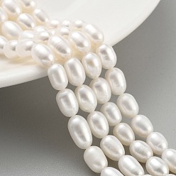 Белый Нити из натурального культивированного пресноводного жемчуга, рис, класс 5, белые, 6~7 мм, отверстие : 0.6 мм, около 18~20 шт / нитка, 6.30''~6.69'' (16~17 см)