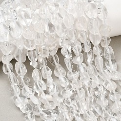 Хрусталь Природных кристаллов кварца бисер нитей, горного хрусталя, самородки, упавший камень, 7.5~10x8~12.5x4.5~7 мм, отверстие : 0.8~1 мм, около 19~22 шт / нитка, 7.60''~7.99'' (19.3~20.3 см)