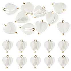 Real 18K Gold Plated 10Pcs Natural Shell Heart Pendants, with 304 Stainless Steel Loops, Seashell Color, Ion Plating(IP), Real 18K Gold Plated, 19~20.5x15~15.5x2.5~4mm, Hole: 1.5~2.5mm