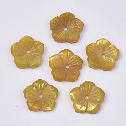 Verge D'or Coquille de nacre blanche naturelle, teint, fleur, verge d'or, 12.5x12.5x2.5mm, Trou: 1.2mm