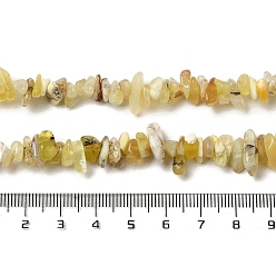 Yellow Opal Natural Yellow Opal Chip Beads Strands, 5~13x5~13x5~8mm, Hole: 0.9mm, 31.50''(80cm)