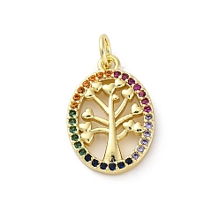 Oval Латунные микро проложить кубического циркония подвески, без кадмия и без свинца, древо жизни, реальный 16 k позолоченный, с целью перехода в кольце, овальные, 17.5x12.5x2.5 мм, отверстие : 3.5 мм