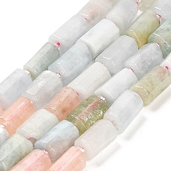 Морганит Природные морганит нитей бисера, с бисером, граненые колонки, 9~11x6~7.5x6~7.5 мм, отверстие : 1.2 мм, около 30 шт / нитка, 15.16~15.55 дюйм (38.5~39.5 см)
