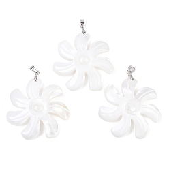 Белые Ракушки Натуральный белый оболочки подвески, резные цветочные подвески с латунными дужками, платина, стойки покрытие, 39.5~40.5x39.5x4.5 мм, отверстие : 4.5x4 мм