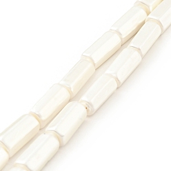 White Electroplated Shell Pearl Beads Strands, Polished, Hexagonal Column, White, 15x7.5x6.5mm, Hole: 0.8mm, about 27pcs/strand, 15.94 inch(40.5cm)