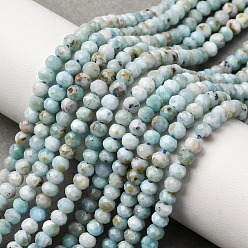 Ларимар Природные ларимар бисер нитей, граненые, рондель, 4x3 мм, отверстие : 0.8 мм, около 129 шт / нитка, 15.47'' (39.3 см)