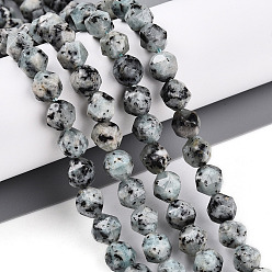 Гейнсборо Окрашенные натуральные кунжутные нитки из бисера яшмы, граненые, звезды вырезать круглые бусы, светло-серые, 7~8x6~7.5x6~7.5 мм, отверстие : 1 мм, около 48~49 шт / нитка, 14.17~15.35'' (36~39 см)