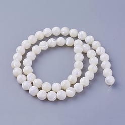 Other Sea Shell Shell Beads Strands, Round, 8~8.2mm, Hole: 1mm, about 52pcs/strand, 15.98 inch(40.6cm)