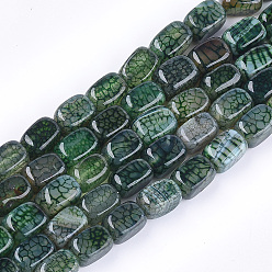 Зеленый Природных вены драконов агат бисер нитей, окрашенные, кубоид, зелёные, 13~13.5x8~9x8~9 мм, отверстие : 1 мм, около 28 шт / нитка, 14.7 дюйм
