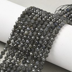 Лабрадорита Природные лабрадорита бисер нитей, круглые, граненые, 4 мм, отверстие : 0.6 мм, около 94 шт / нитка, 14.96 дюйм (38 см)