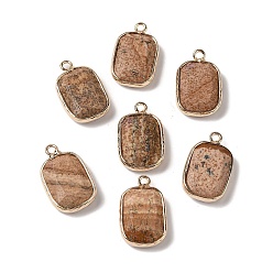 Picture Jasper Natural Picture Jasper Faceted Pendants, Golden Tone Brass Rectangle Charms, 19x11.5x4mm, Hole: 1.6mm