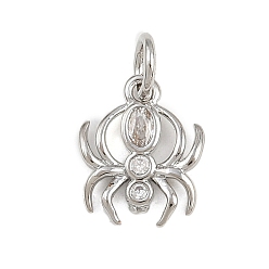 Платина Кулон из циркония, с целью перехода в кольце, прелести паука, стойки покрытие, долговечный, без свинца и без кадмия, платина, 11.5x9.5x1.5 мм, отверстие : 3 мм
