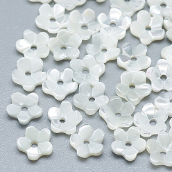Seashell Color Natural White Shell Beads, Mother of Pearl Shell Beads, Flower, Seashell Color, 5.5x6x2mm, Hole: 1mm