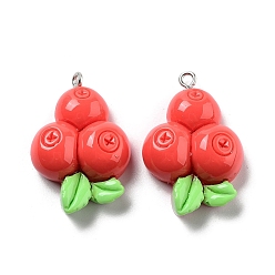 Other Fruits Подвески из непрозрачной смолы на весеннюю тематику, прелести растений, фрукты, 33x21.5x8.5 мм, отверстие : 2 мм