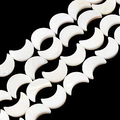 Луна Естественных пресноводных оболочки бисер нитей, белые, луна, 12x8.5x2.3 мм, отверстие : 0.5 мм, около 16 шт / нитка, 7.13'' (18.1 см)