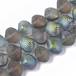Medium Aquamarine Electroplate Glass Beads Strands, Frosted, Shell Shape, Medium Aquamarine, 12x14.5x10mm, Hole: 1mm, about 50~51pcs/Strand, 24.41 inch(62cm)
