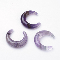 Amethyst Natural Amethyst Beads, No Hole, Double Horn/Crescent Moon, 30x27~28x5~6mm