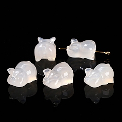 Натуральный Агат Природных бисера агат, свинья, 17x12 мм