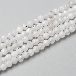 Rainbow Moonstone Бусины из натурального радужного лунного камня, круглые, граненые, 3~3.6 мм, отверстие : 0.6 мм, около 140 шт / нитка, 15.55 дюйм (39.5 см)