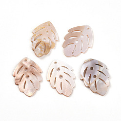 Морская Ракушка Резные подвески из натуральных пресноводных ракушек, лист прелести, цвет морской раковины, 33.5~34x23.5~25x1.5~3 мм, отверстия : 2 mm и 2.5 мм
