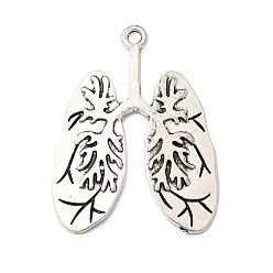 Античное Серебро Сплавочные подвески тибетского стиля, амулеты на легкие, без свинца и без кадмия, античное серебро, 39x29.5x2 мм, отверстие : 2.2 мм, Около 208 шт / 1000 г