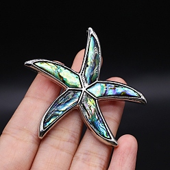 Cadet Blue Natural Shell Brooches for Backpack Clothes, Starfish, Cadet Blue, 53x55mm