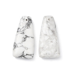 Говлит Природные подвески Говлит, трапециевидные подвески, 39.5~40x20~20.5x8~8.5 мм, отверстие : 1.4 мм