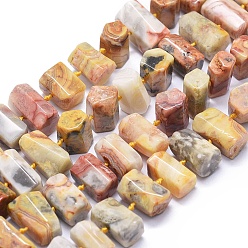 Crazy Agate Natural Crazy Lace Agate Beads Strands, Hexagonal Prism, 11~14x7~11mm, Hole: 0.5mm, about 41pcs/strand, 16.5 inch~16.9 inch(42~43)