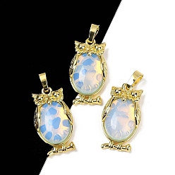 Опал Опалитовая подвеска, с латунной фурнитурой , без свинца и без кадмия, долговечный, сова, 28.5x15.5x7 мм, отверстие : 5x8 мм