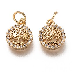 Golden Brass Micro Pave Clear Cubic Zirconia Charms, Long-Lasting Plated, with Jump Ring, Flat Round with Tree of Life, Golden, 11.5x9x2.5mm, Jump Ring: 5x1mm, 3mm Inner Diameter