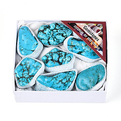 Синтетическая Бирюза 8 шт. синтетическая бирюзовая геода образец минерала рога изобилия, кластер необработанных кристаллов, Целебный кристалл в подарок для домашнего декора, с бумажной коробкой, 32~50x20~33x16~25 мм