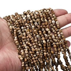Пейзажный Джаспер Естественного изображения яшмы бисер нитей, самородки, 5~9x4~6x3~4.5 мм, отверстие : 0.7 мм, около 75~89 шт / нитка, 15.35'' (39 см) ~ 15.94'' (40.5 см)