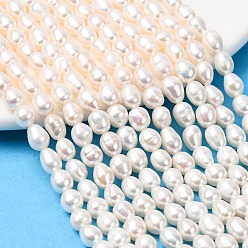 Папайя Оранжевый Нити из натурального культивированного пресноводного жемчуга, рис, класс 3а++, papayawhip, 4~5 мм, отверстие : 0.5 мм, около 54~62 шт / нитка, 13.78~13.98'' (35~35.5 см)