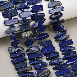 Ляпис-Лазурь Нитки бусины из натурального ляписа-лазури, самородки, с бисером, 5~18x3.5~8.5x2.5~6.5 мм, отверстие : 0.7~1 мм, около 46~51 шт / нитка, 15.35''~16.14'' (39~41 см)