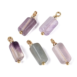 Fluorite Natural Fluorite Pendants, Column Charms, with Golden Tone Brass Findings, Faceted, 16.5~18.5x5.5~7.5x5.5~7.5mm, Hole: 1.6~2mm, about 5pcs/bag