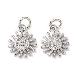 Платина Латунь прелести циркония кубической, с целью перехода в кольце, долговечный, без свинца и без кадмия, солнце, Реальная платина, 13x11x1.8 мм