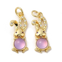 Сливовый Покрытие стойки латунь микро паве подвески из нефрита с кубическим цирконием, с целью перехода в кольце, долговечный, без свинца и без кадмия, реальный 18 k позолоченный, кролик, слива, 23x9x5 мм, отверстие : 3.5 мм