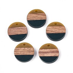 Темно-серый Подвески из смолы и ореха, плоско-круглые, темно-серый, 18.5x3.5 мм, отверстие : 2 мм