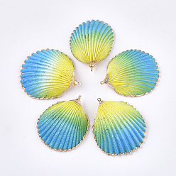 Deep Sky Blue Spray Paint & Electroplate Sea Shell Pendants, with Brass Findings, Golden, Deep Sky Blue, 35~50x31~41x12~17mm, Hole: 1.5mm