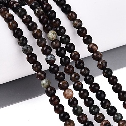 Biotite Natural Biotite Beads Strands, Smooth Round, 4.5mm, Hole: 0.5~0.6mm, about 86~87pcs/strand, 14.57~14.96 inch(37~38cm)